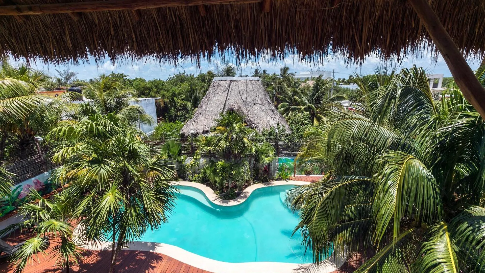 La Palma Holbox contacts