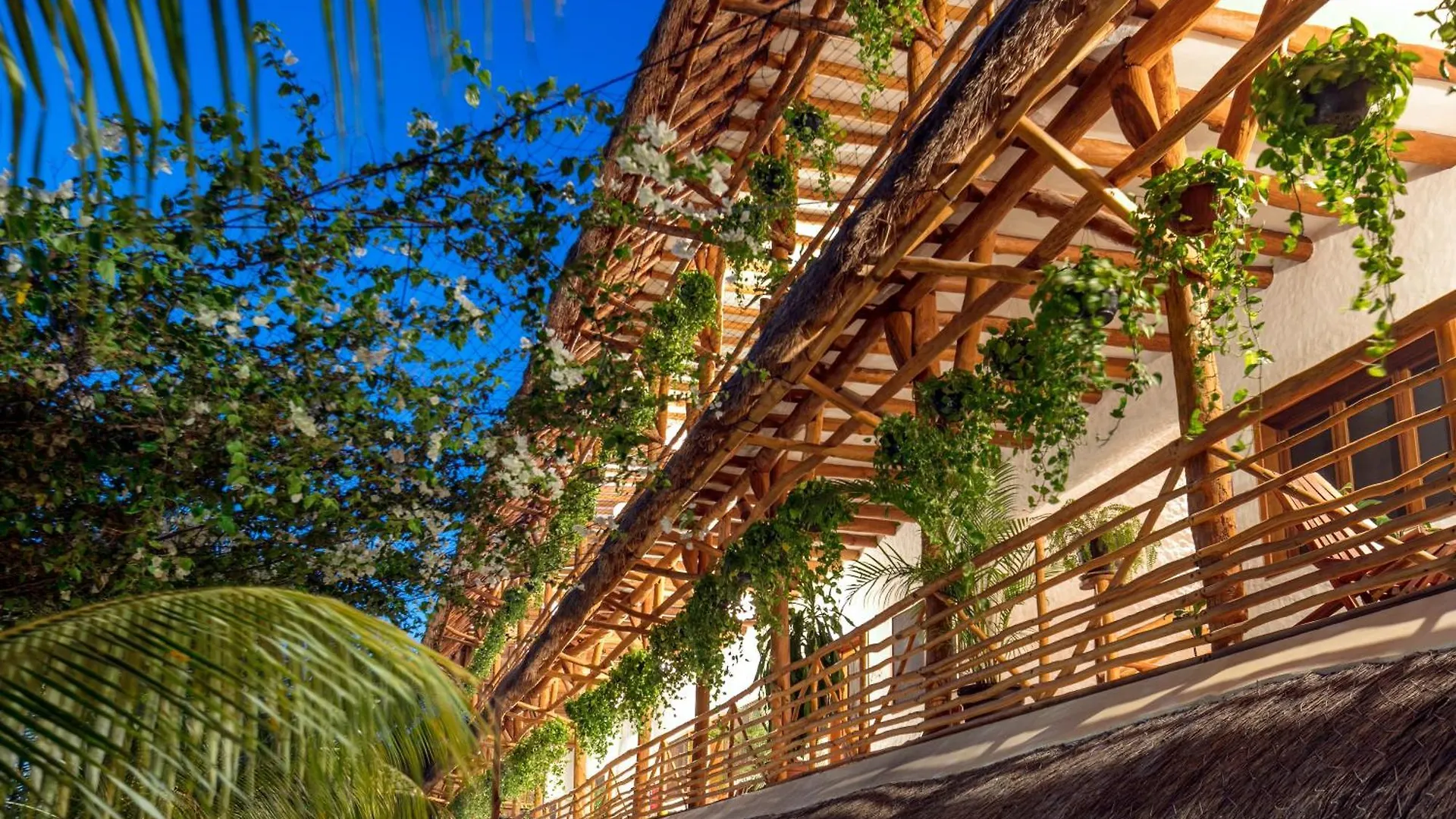 ***  La Palma Holbox Hotel Mexico